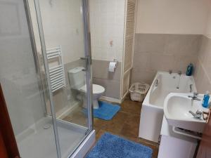ein Badezimmer mit Dusche, Toilette und Waschbecken in der Unterkunft Sharlands Farm Holiday Cottages in Bude