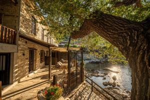 达默查理Cleopatra's Miramare的从树屋可欣赏到河流景色