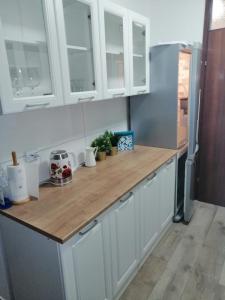 Kuchyň nebo kuchyňský kout v ubytování Apartman KATJA