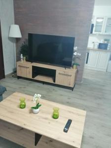 TV a/nebo společenská místnost v ubytování Apartman KATJA