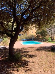 un árbol en un patio con piscina en Chalet d'une chambre avec piscine partagee et jardin amenage a Cornillon Confoux, en Cornillon-Confoux