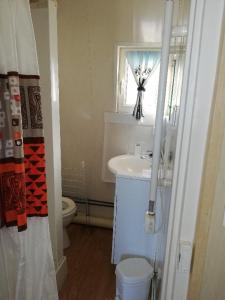 a small bathroom with a sink and a toilet at Le pigeonnier 1 in Le Tréport