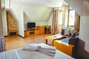 Televiisor ja/või meelelahutuskeskus majutusasutuses Hotel Perce Neige