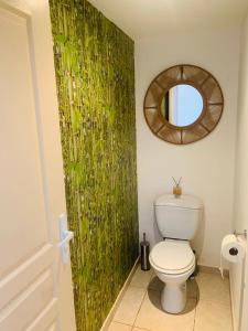 a bathroom with a white toilet and a mirror at Sea Front Apartment Orient Bay in Orient Bay French St Martin