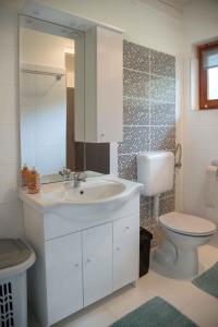a bathroom with a white sink and a toilet at Holiday home Balatonbereny - Balaton 18044 in Balatonberény