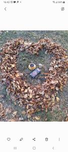 a picture of a heart made out of leaves at Max Hotel Gogi Alibegashvili in Stepantsminda