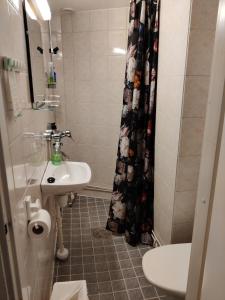 a bathroom with a sink and a shower curtain at Hotelli Merikotka in Kotka