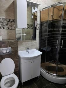 a bathroom with a toilet and a shower and a sink at Apartman San in Bugojno