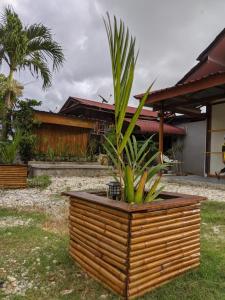 a plant in a wooden planter in front of a house at Denai Senja in Kuala Selangor