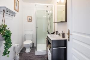 a bathroom with a toilet and a sink and a shower at Le Grand Cancalais in Cancale +4 photos