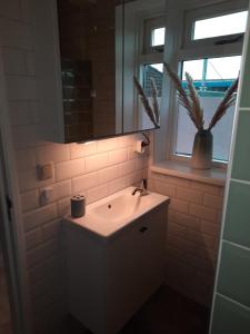 łazienka z umywalką, lustrem i oknem w obiekcie B&B D'n Optie w mieście Druten