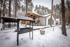 AlajõeValsid puhkemaja的树林里的房子,地面上积雪