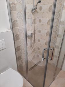 eine Dusche mit Glastür neben einem WC in der Unterkunft Apartman Matija in Pale