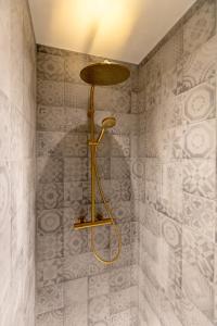 a shower with a gold shower head in a bathroom at GUILLEMINS STATION FLATS in Liège +41 photos