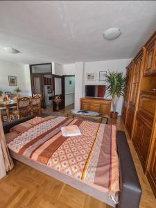 Katil atau katil-katil dalam bilik di Rodic Apartman stan Ohrid