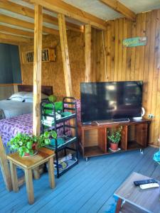 ein Wohnzimmer mit einem großen TV und einem Bett in der Unterkunft Ecolodge Lanalhue Hostel in Cañete