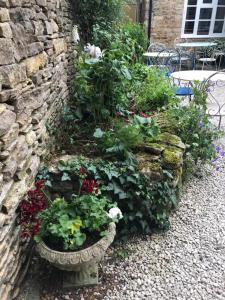 a garden with flowers in a stone wall at Lucy's Tearoom in Stow on the Wold