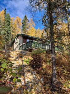uma casa numa colina na floresta em Northwoods Cottage Bed and Breakfast em Fairbanks