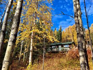 uma casa na floresta com árvores em Northwoods Cottage Bed and Breakfast em Fairbanks