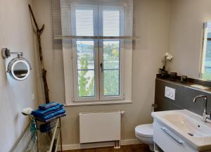 ボッパルトにあるRHEIN-SUITES BOPPARDのバスルーム(洗面台、トイレ付)、窓が備わります。