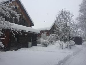 Alpenferienhaus Sophia during the winter