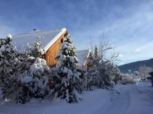 Alpenferienhaus Sophia during the winter