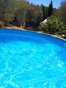 Piscina en o cerca de Rio Indio Rural Home with pool