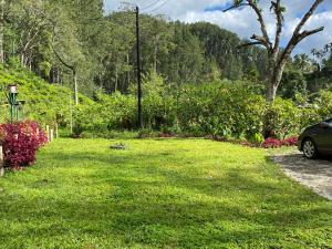 a yard with a car parked in the grass at Bunk Station in Ella