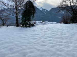 a snow covered field with a tree and mountains at B&B Pichler Casa in Castello di Fiemme
