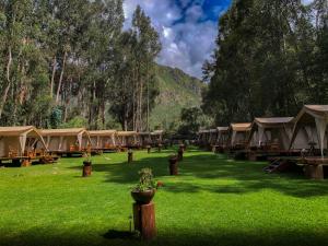 rząd namiotów na polu zielonej trawy w obiekcie Glamping Chaska Ocupi w mieście Urubamba