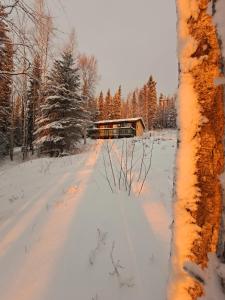 een met sneeuw bedekte weg met een gebouw op de achtergrond bij Northwoods Cottage Bed and Breakfast in Fairbanks