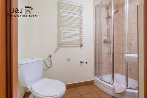 a bathroom with a shower and a toilet and a sink at J&J Apartments, Szeroka 25 Apartament 13 in Toruń +2 photos