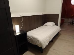 Postel nebo postele na pokoji v ubytování Albert Studio's