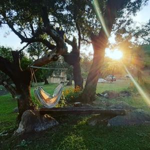 Un jardín fuera de COSTA COM Cabañas