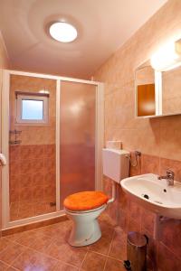 ein Bad mit einem WC, einer Dusche und einem Waschbecken in der Unterkunft Vineyard Cottage Bregac in Smarjeske Toplice