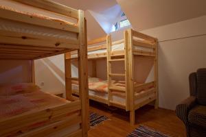 Cette chambre dispose de lits superposés et de 2 lits superposés. dans l'établissement Vineyard Cottage Bregac, à Smarjeske Toplice