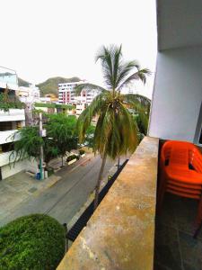 a view of a palm tree from a building at Apartamento Rodadero Santorini in Santa Marta