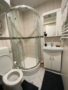 Ett badrum på Apartman Arya Vlasic