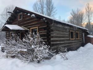una cabaña de madera con nieve en el suelo frente a ella en Mini-Mooh cabin en Clearwater