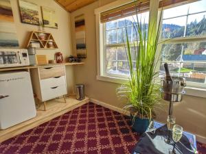 a kitchen with two windows and a red rug at Carriage House Inn in Downieville