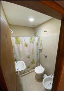 a bathroom with a toilet and a sink at Costa Rio in Posadas