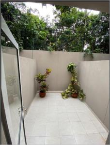 a courtyard with potted plants on a white wall at Costa Rio in Posadas