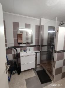 a bathroom with a sink and a shower at Résidence Romains 0G in Strasbourg