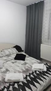 Postel nebo postele na pokoji v ubytování Apartament Ella ,wifi inclus la Straja ,Lupeni !