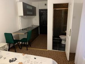 a room with a kitchen with a sink and a toilet at Luxury Accommodation Republicii in Braşov +34 photos
