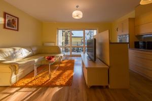 salon z kanapą i telewizorem w obiekcie Komfortowy Apartament w centrum Ustronia w Ustroniu