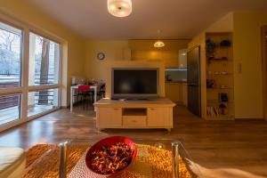 Telewizja i/lub zestaw kina domowego w obiekcie Komfortowy Apartament w centrum Ustronia
