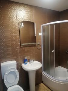 a bathroom with a toilet and a shower and a sink at Apartment Sailor in Žabljak