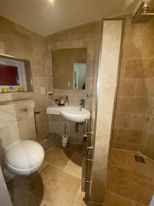 a bathroom with a toilet and a sink and a shower at Lovely Entire 1 Bedroom Flat with Patio in Chiswick in London