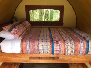 Bett in einem Zimmer mit Fenster in der Unterkunft Greytown Campground in Greytown